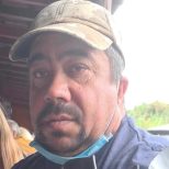 Adriano Diniz Pestana1