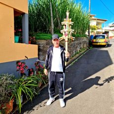 IMG_20221113_161148